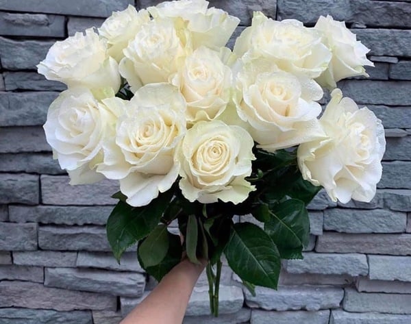 Top 10+ loại hoa tặng bạn gái đẹp và lãng mạn nhất